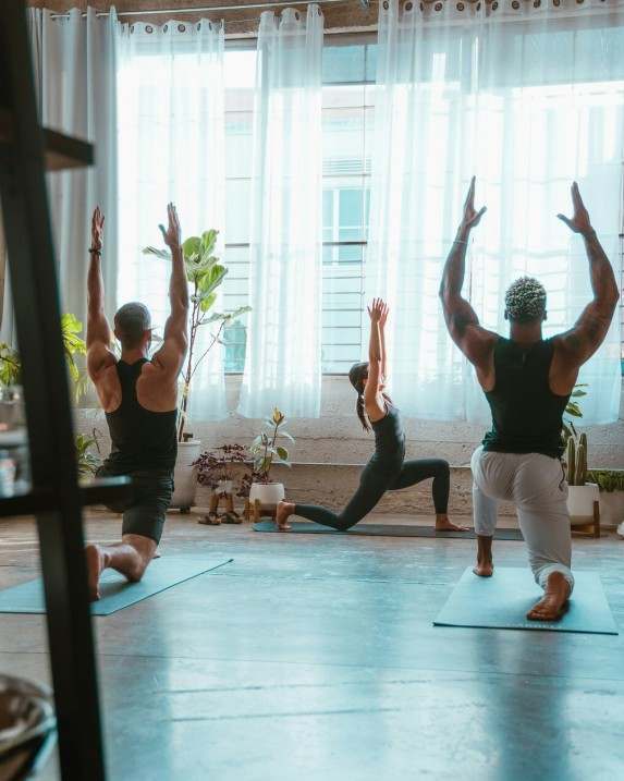 Sequenza Vinyasa